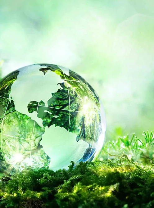 Environnement